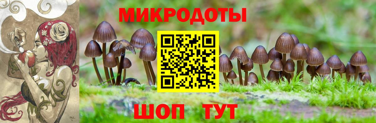 Галлюциногенные грибы Psilocybine cubensis Мытищи