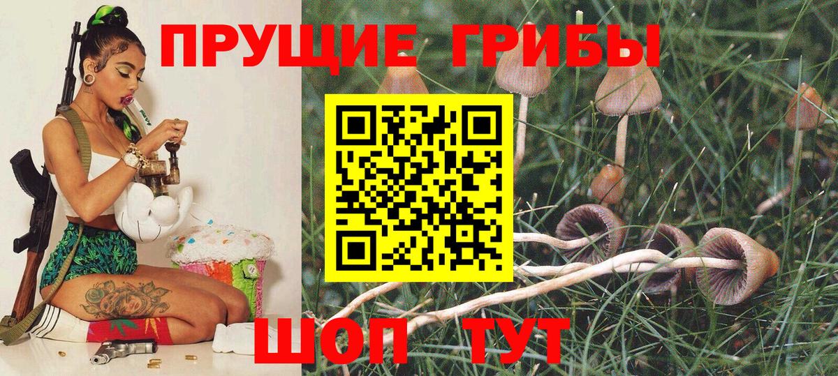 Галлюциногенные грибы Psilocybe  Псилоцибиновые грибы Psilocybe  Вход с VPN  Мытищи 